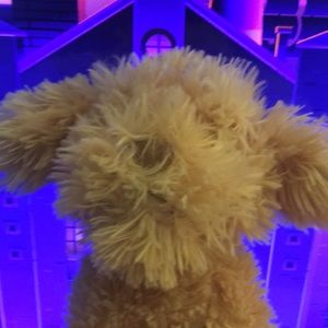 Meet your Posher, ð¸ððððððð